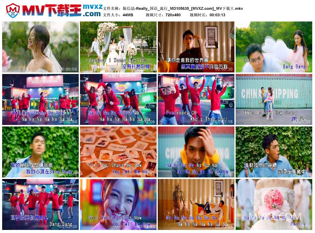 陈信喆-Really_国语_流行_MD105635